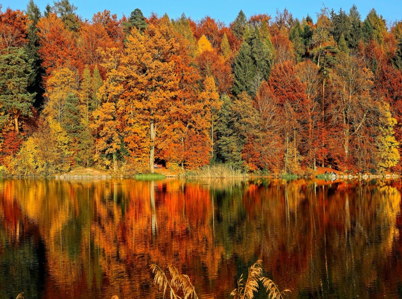 Amerika Fly drive herfst rondreis New England Foliage 20